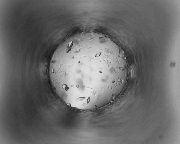X0000102861059200808251221