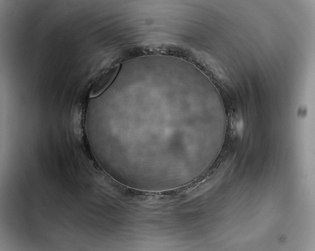 X0000102861060200808251221