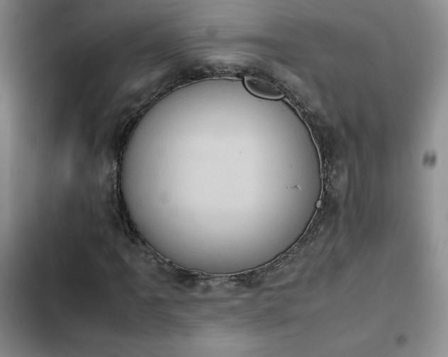 X0000102861061200808251221