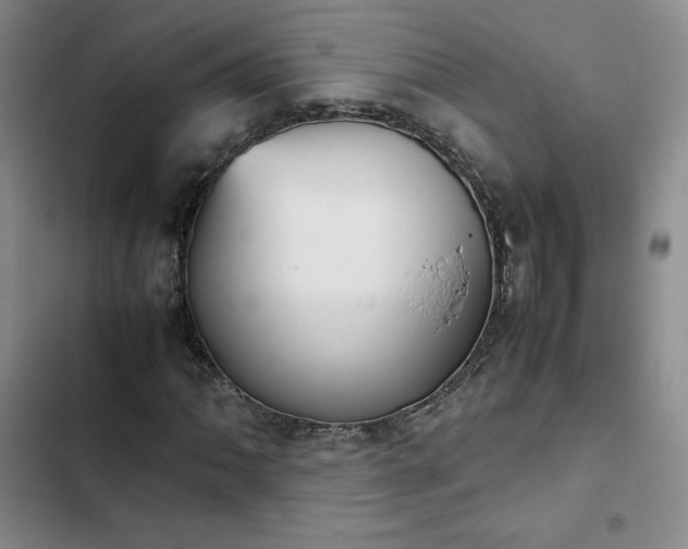 X0000102861062200808251221