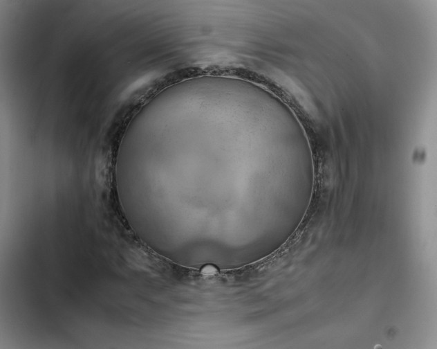 X0000102861063200808251221