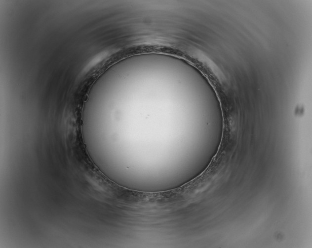 X0000102861064200808251221