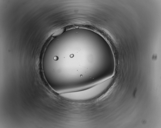 X0000102861065200808251221