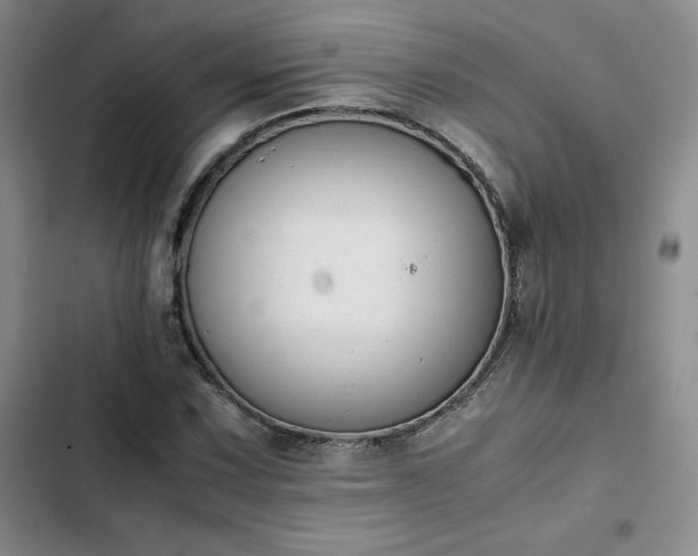 X0000102861067200808251221