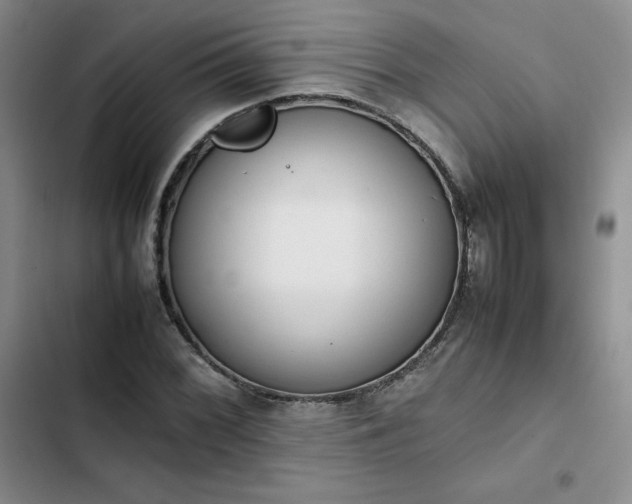 X0000102861068200808251221