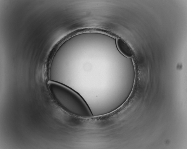 X0000102861069200808251221