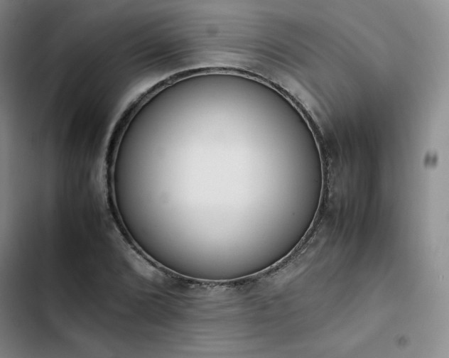 X0000102861072200808251221