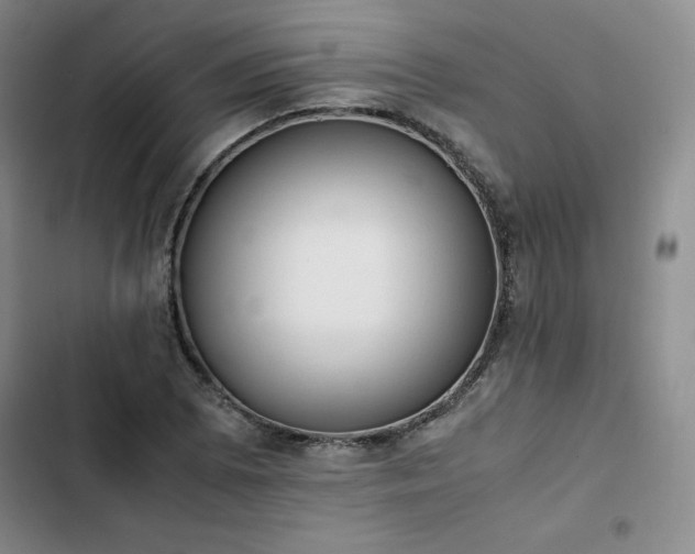 X0000102861073200808251221