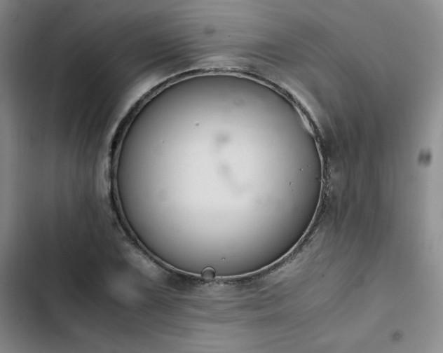 X0000102861075200808251221