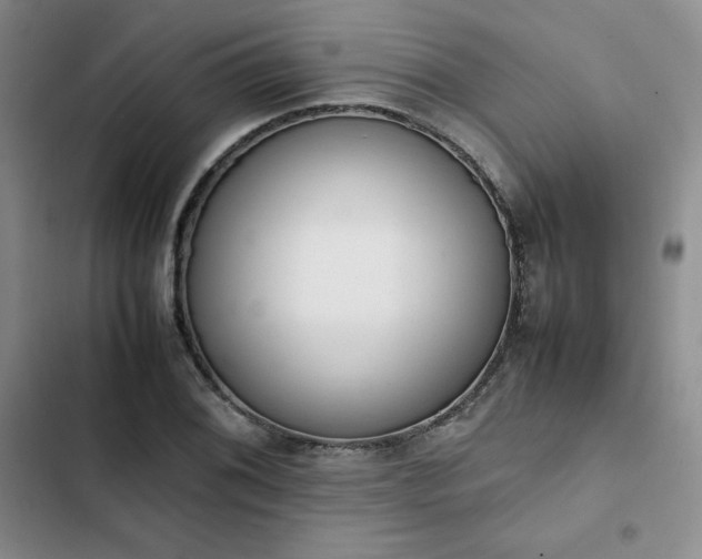 X0000102861076200808251221