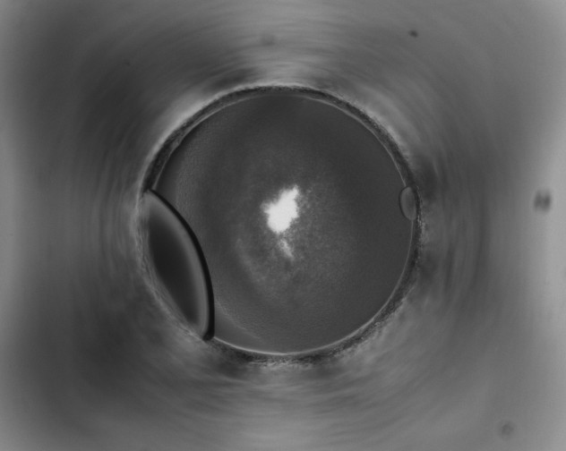 X0000102861077200808251221