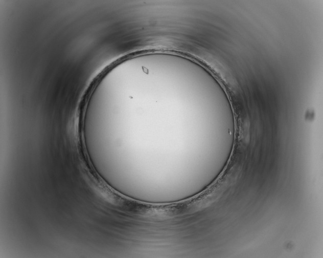 X0000102861078200808251220