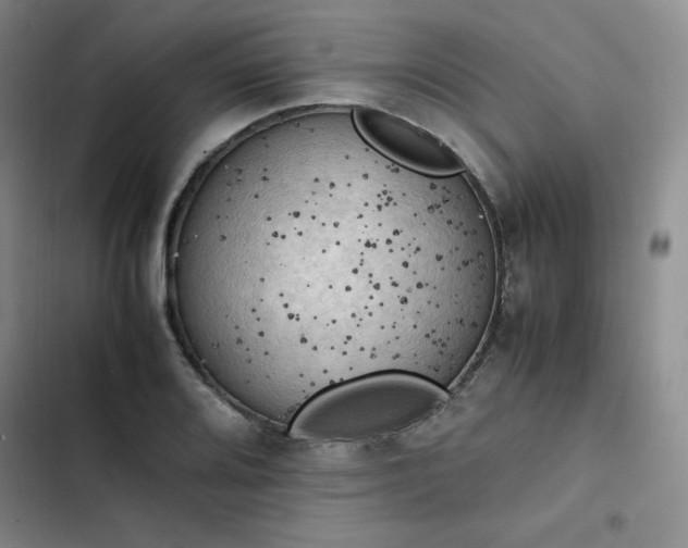 X0000102861080200808251220