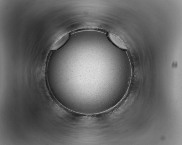 X0000102861081200808251220