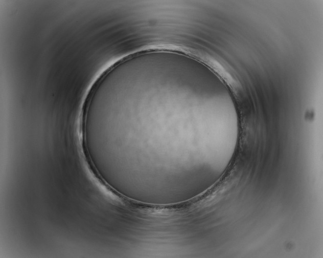 X0000102861084200808251220