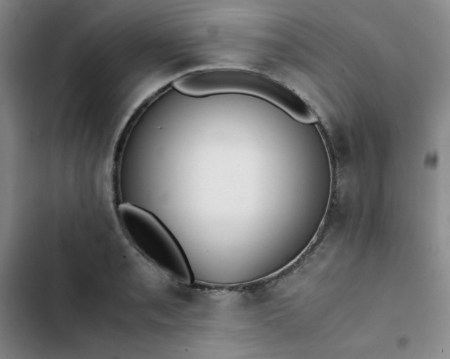 X0000102861085200808251220