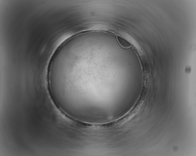 X0000102861087200808251220