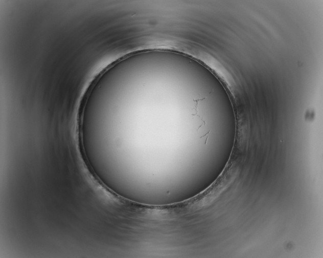 X0000102861088200808251220