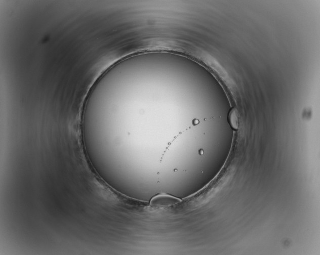 X0000102861089200808251220