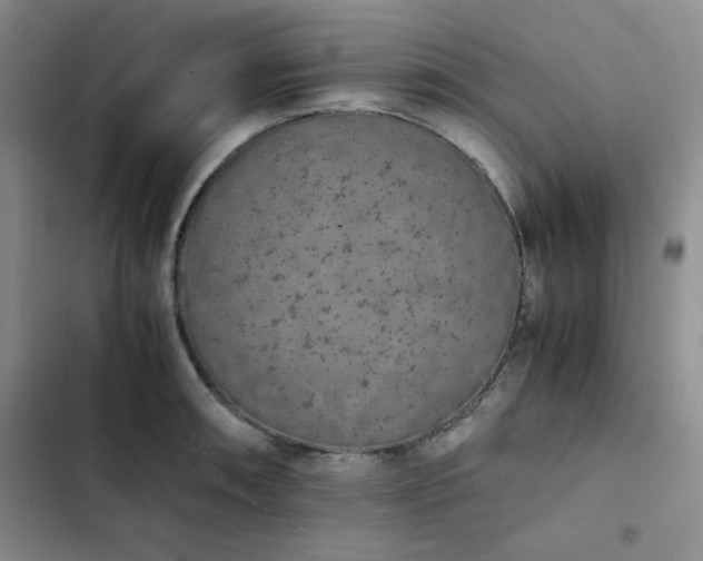 X0000102861090200808251220