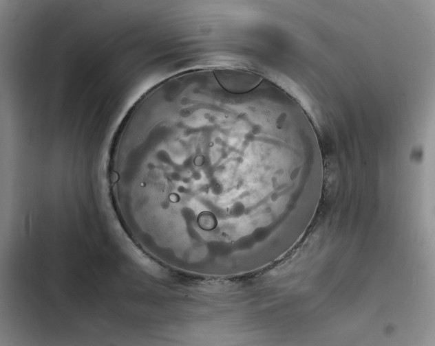 X0000102861091200808251220