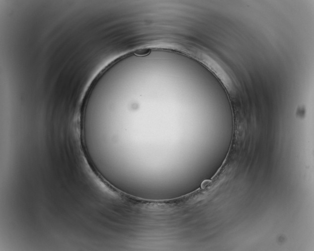 X0000102861092200808251220