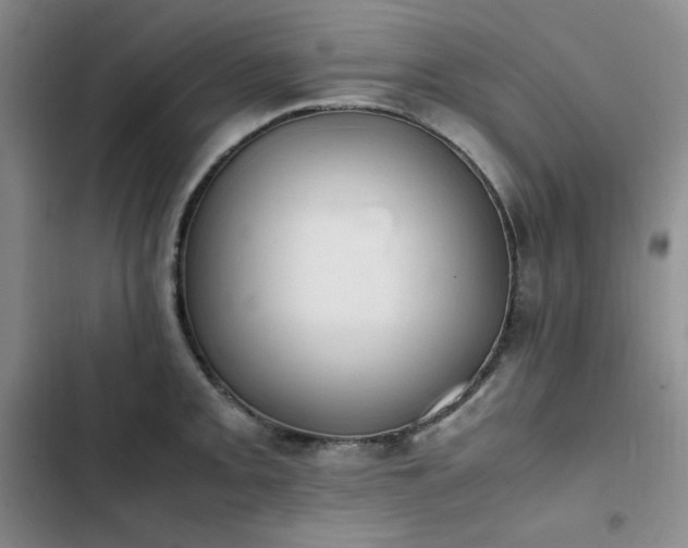 X0000102861093200808251220