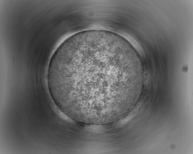 X0000102861094200808251220