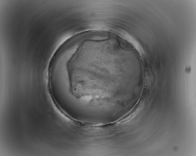 X0000102861095200808251220