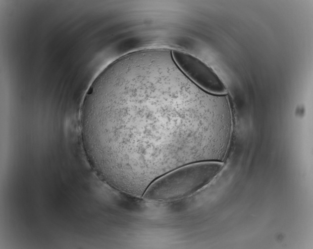 X0000102861097200808251220