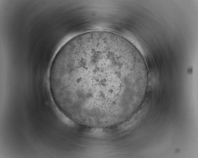 X0000102861098200808251220