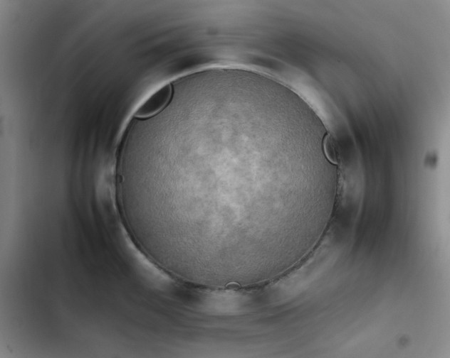 X0000102861100200808251220