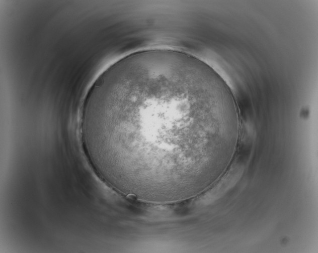 X0000102861101200808251220