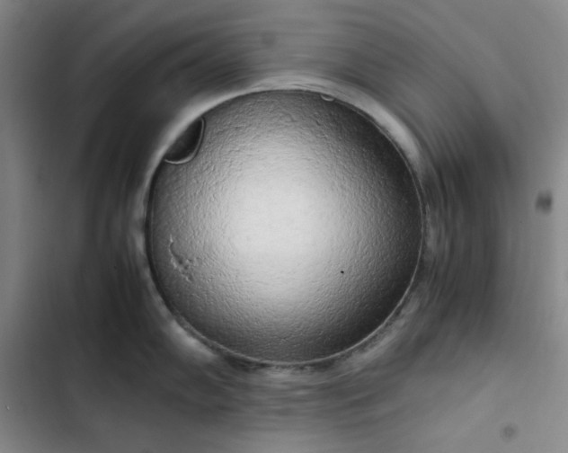 X0000102861102200808251220