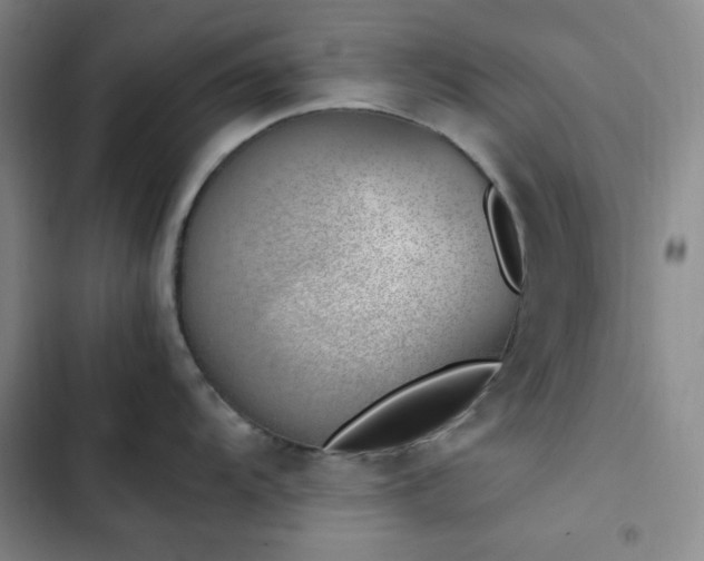 X0000102861104200808251220