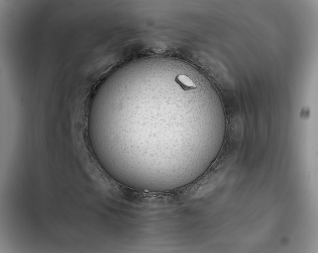 X0000102861105200808251219