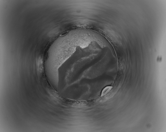 X0000102861106200808251219