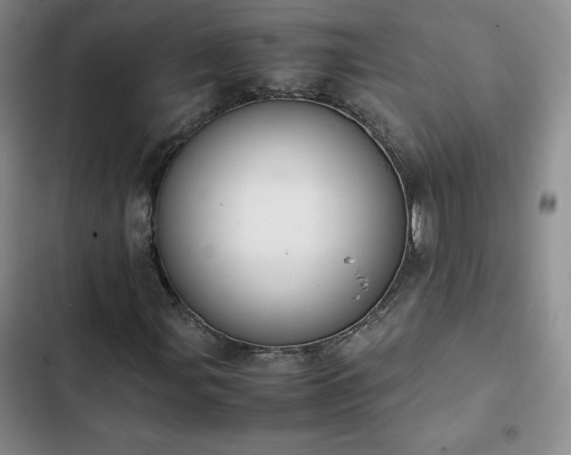 X0000102861107200808251219