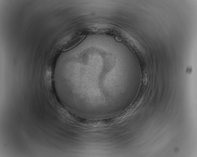 X0000102861108200808251219