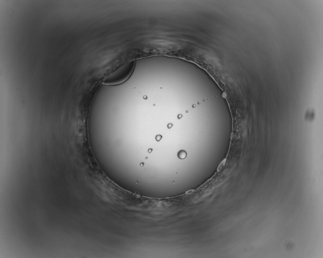 X0000102861109200808251219