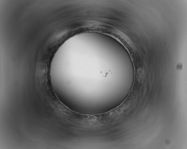 X0000102861111200808251219