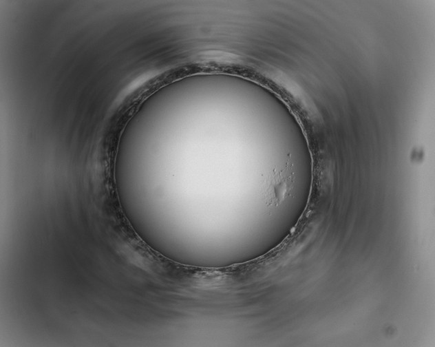 X0000102861112200808251220