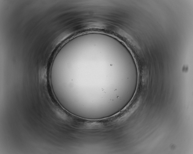 X0000102861113200808251220