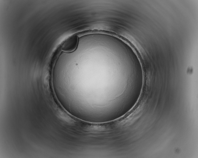 X0000102861115200808251220