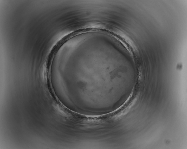 X0000102861117200808251220