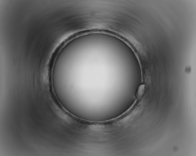 X0000102861118200808251220