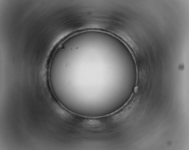 X0000102861119200808251220