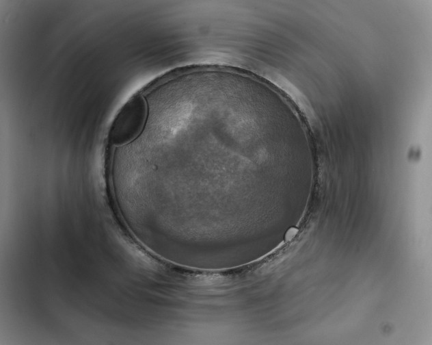 X0000102861120200808251220