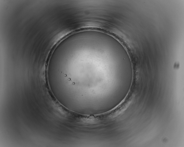 X0000102861121200808251220