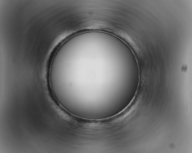 X0000102861122200808251220